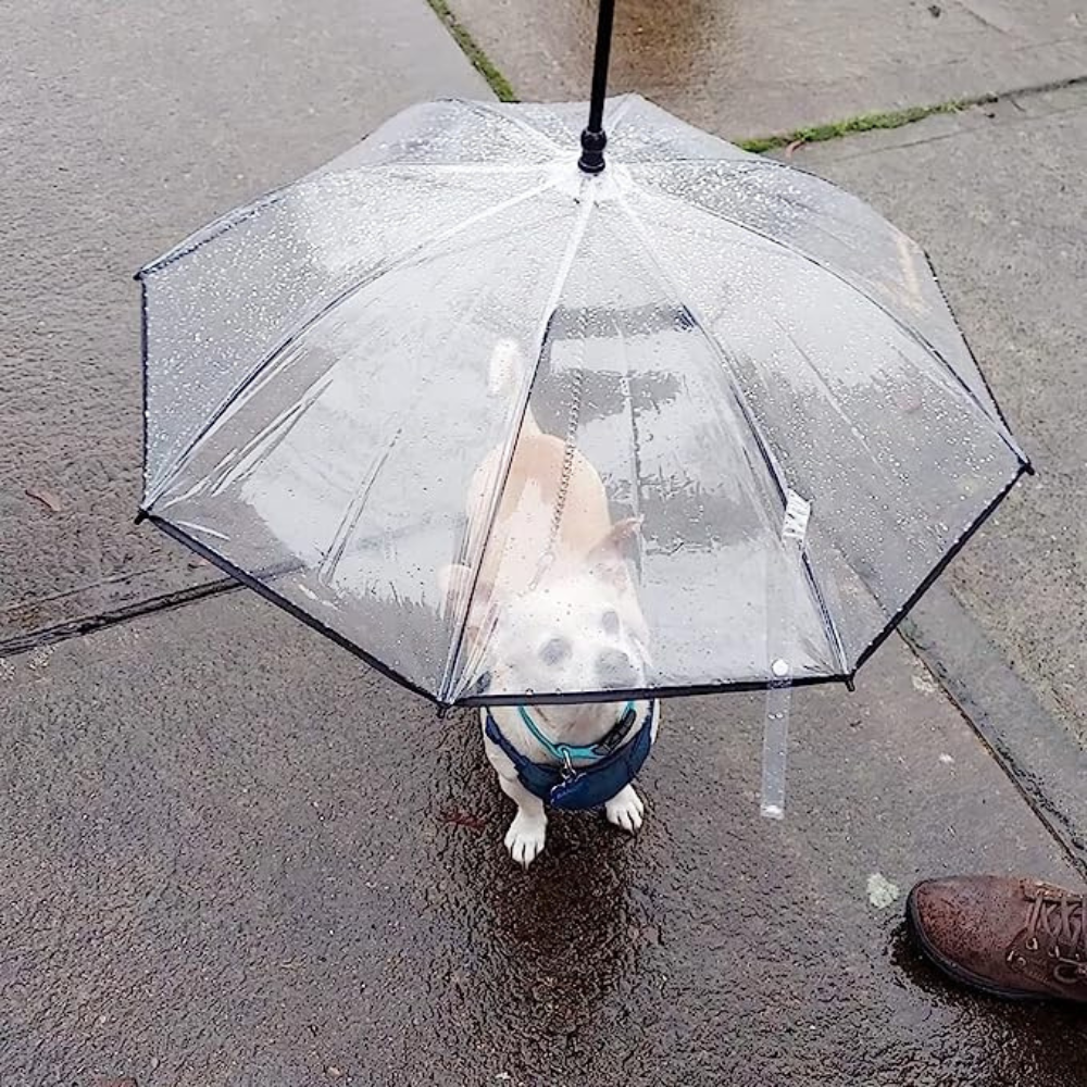 Dog Leash Umbrella