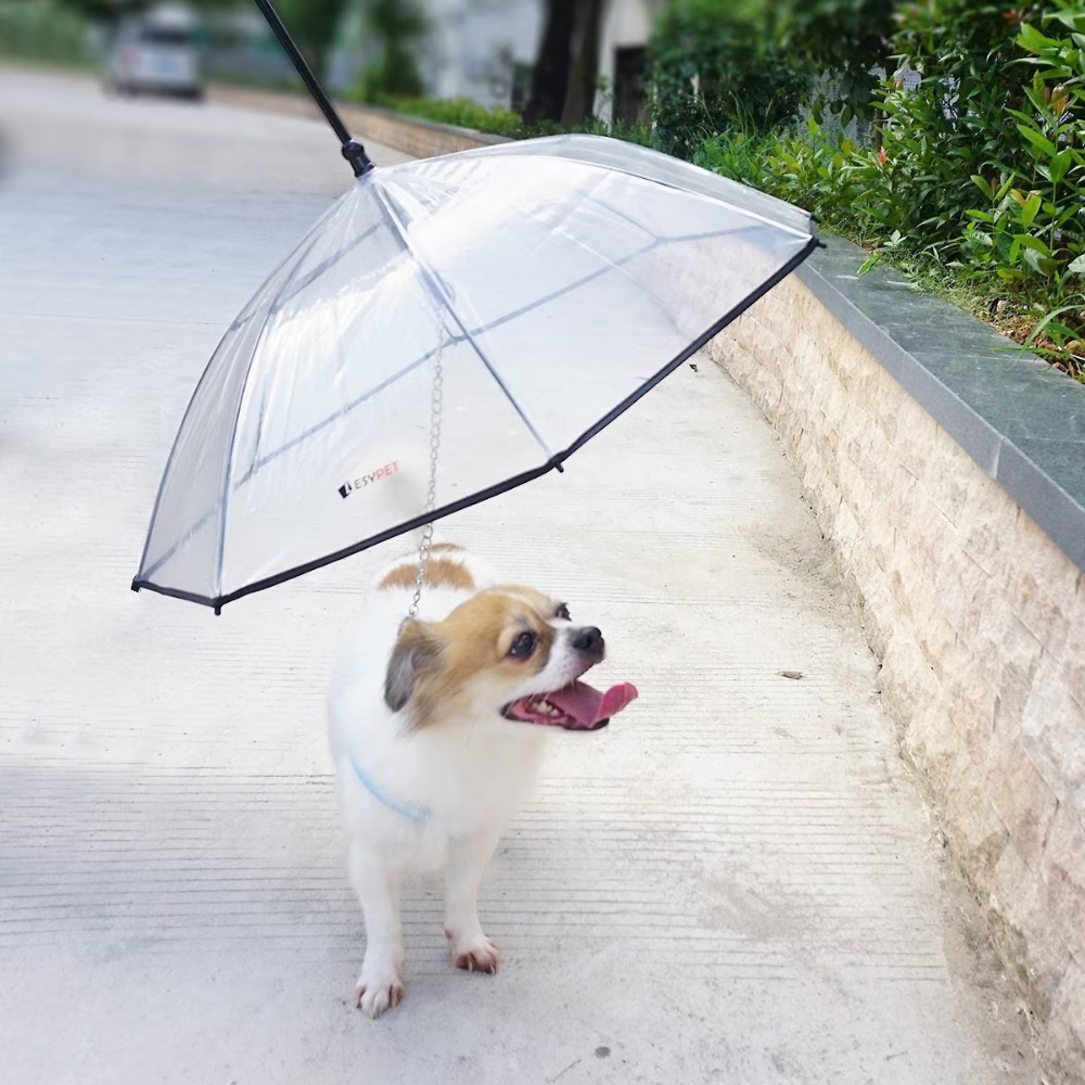 Dog Leash Umbrella