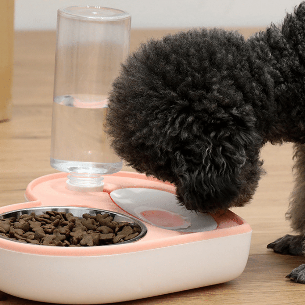 500ml 2-in-1 Heart Shaped Dog Food and Water Bowl