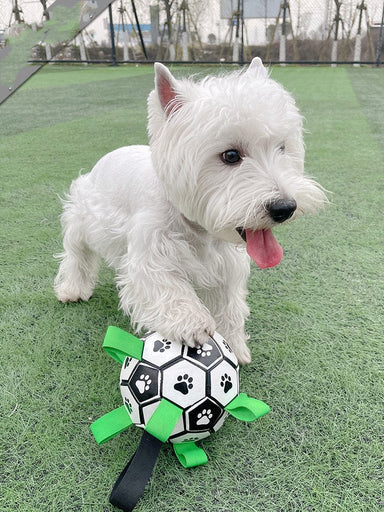 A Dog Toy Lovely Paw Football Toys For Puppy Large Dogs