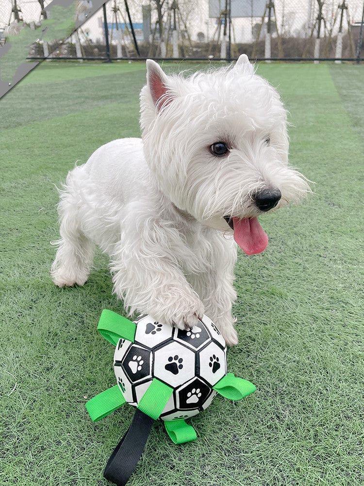 A Dog Toy Lovely Paw Football Toys For Puppy Large Dogs