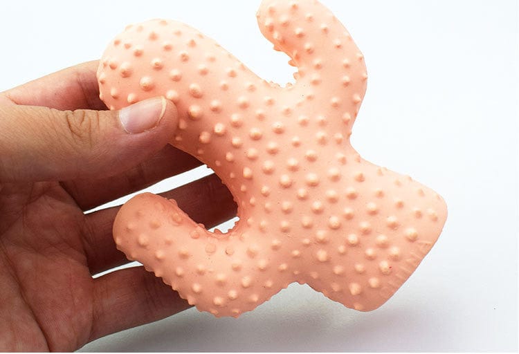 Cactus Barbed Latex Toyes Dog Molar Teeth Cleaning