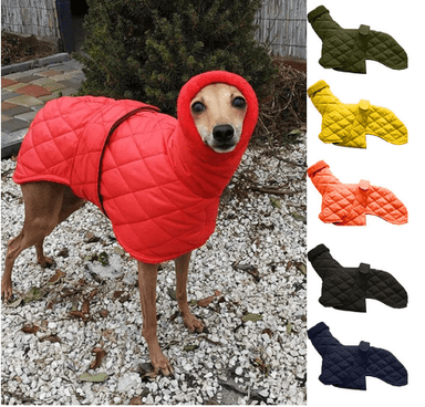 Dog winter warm cotton pure color belt fashion