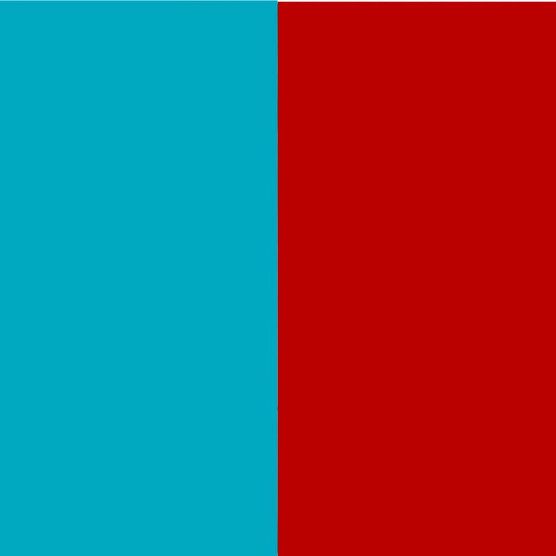 Dual Color 3 Way Adjustable Dog Rope leash