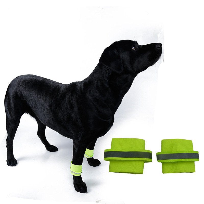 Green / L Fluorescent Reflective Dog Wristband