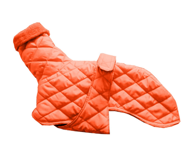 Orange / XL Dog winter warm cotton pure color belt fashion