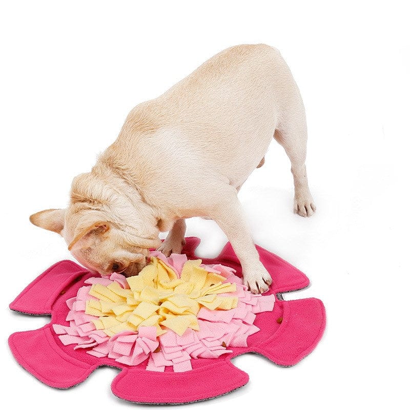 Rose Red Flower type sniffing pet mat