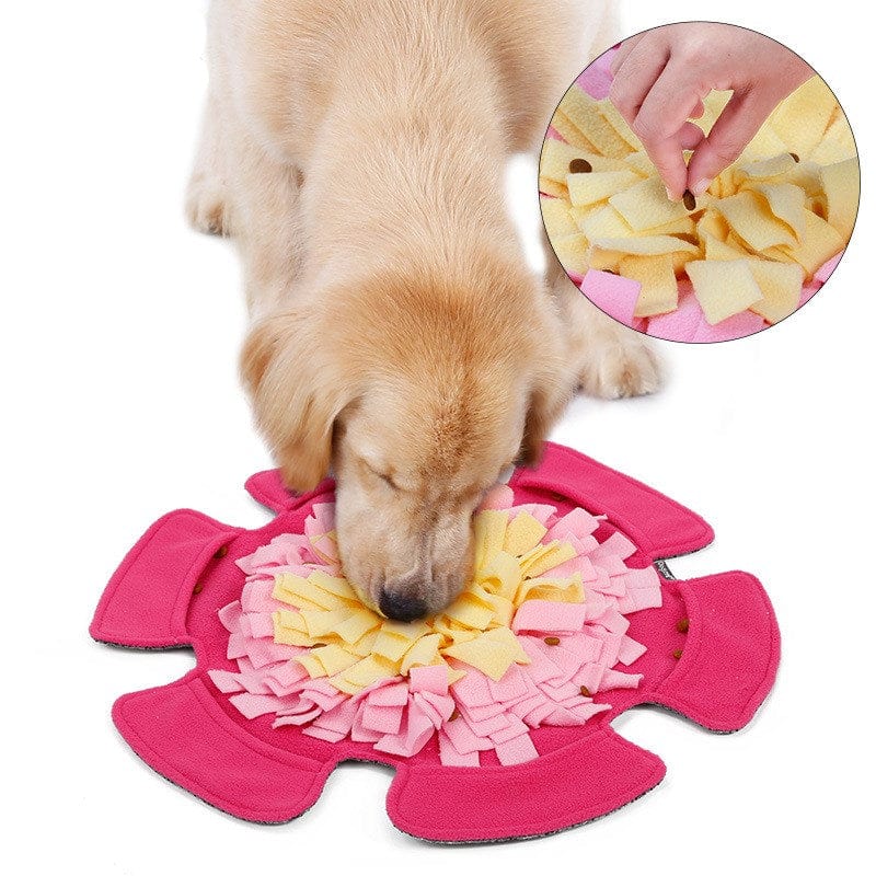 Rose Red Flower type sniffing pet mat