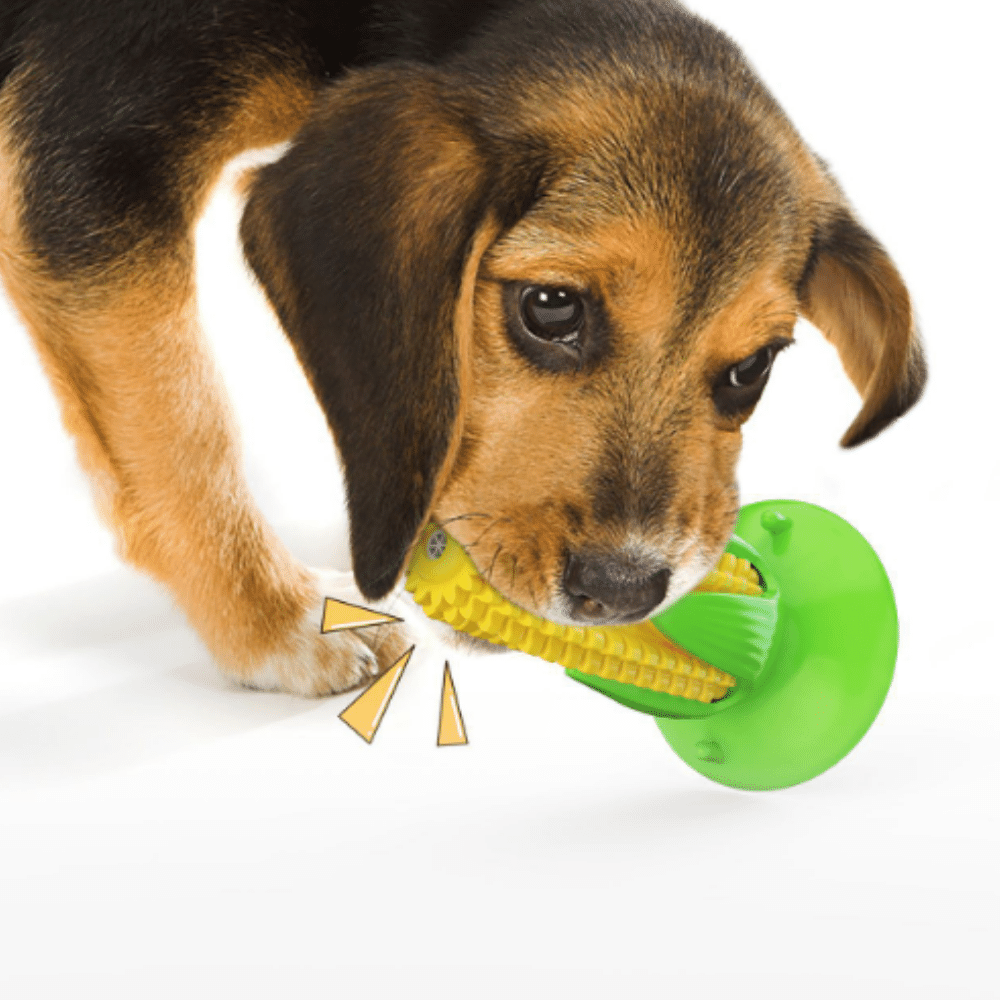 Suction Cup Corn Toothbrush Dog Chew Toy