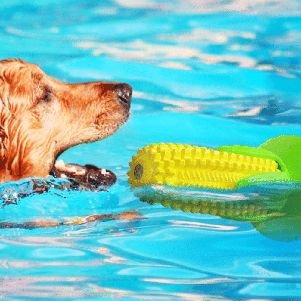 Suction Cup Corn Toothbrush Dog Chew Toy