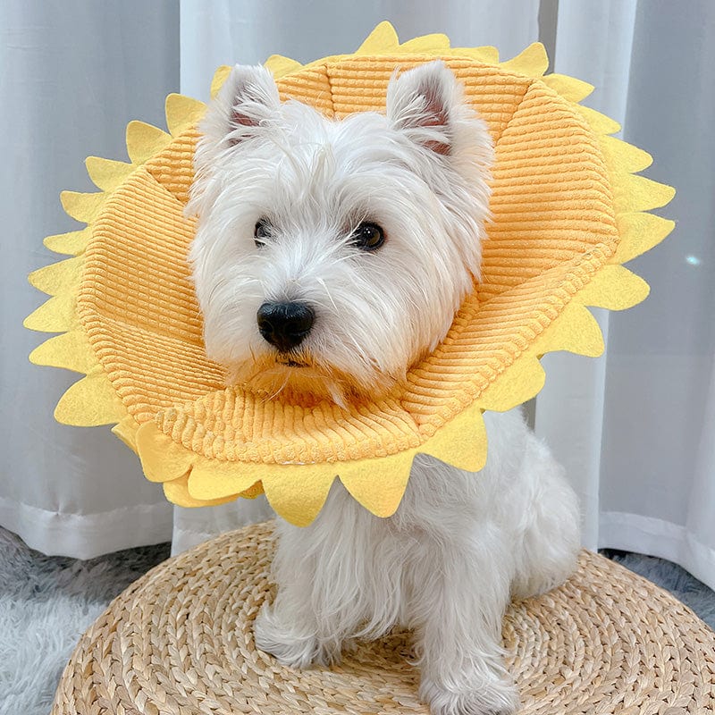 Sunflower / L Cat Neck Ornaments Small Dogs Medium-sized Anti-licking Headgear Soft Shame Circle
