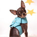 Bling Rhinestone Harness