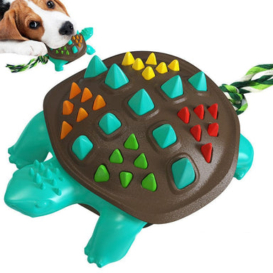 Colorful God Tortoise Dog Molar Stick