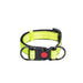Fluorescent yellowgreen Collared Dog Small Dog Medium And Large Leash