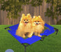 Pet Supplies Cat Litter Dog Cage Pet Trampoline Folding Portable Camping Bed
