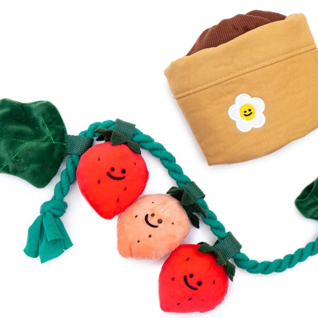Photo Color Strawberry Potted Plant Set Tibetan Food BB Called Pull Toy