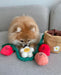 Photo Color Strawberry Potted Plant Set Tibetan Food BB Called Pull Toy