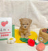 Photo Color Strawberry Potted Plant Set Tibetan Food BB Called Pull Toy