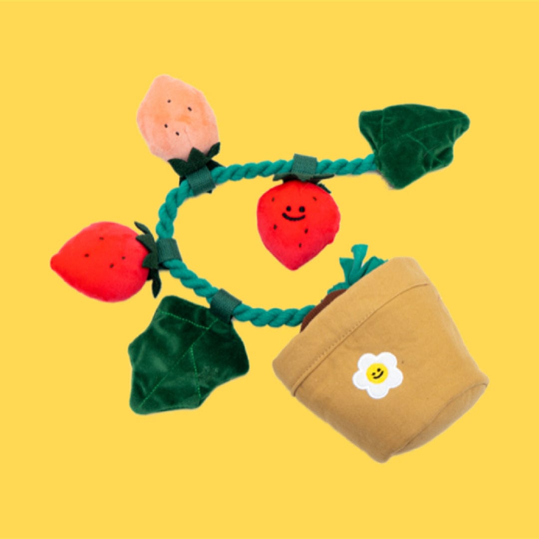 Photo Color Strawberry Potted Plant Set Tibetan Food BB Called Pull Toy