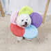 Rainbow colors / M Beauty flower anti-scratch pet protective cover