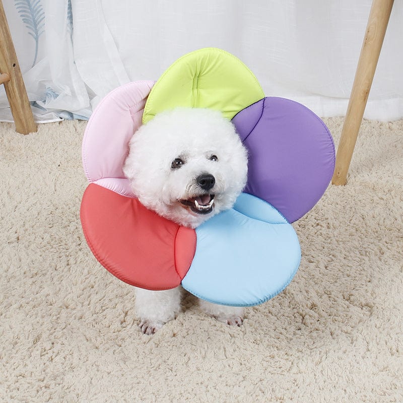 Rainbow colors / M Beauty flower anti-scratch pet protective cover