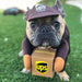 Small UPS Dog Costume
